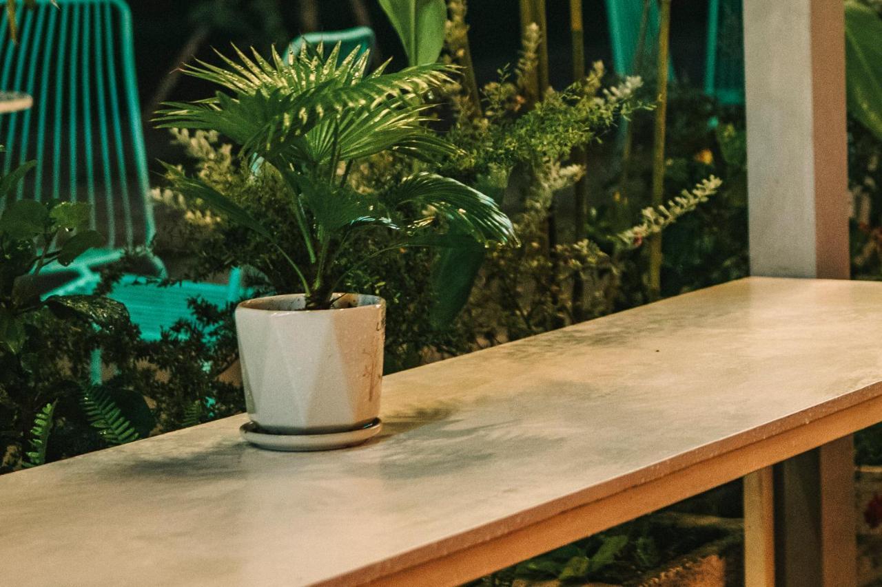 Dai Duong La Gi Homestay & Coffee Exterior foto
